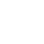 Community Access - Disability support