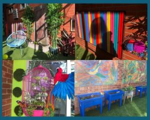 Northcote Day Centre Sensory Garden