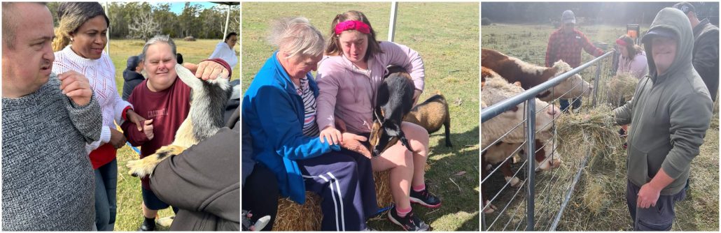 Image collage: (from left to right) a photo of Jimmy, Rebecca and Darren meeting and patting a small goat. A photo of Chloe and Karen seated on a bale of hay while holding a petting a goat. A photo of Josh smiling as he feeds hay to a cow through a short fence